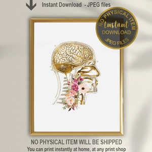 Cadeau SLP, Art de l&#39;anatomie de la parole, Cadeau d&#39;orthophoniste, Décoration de bureau SLP, Orthophoniste, Art SLP, Orthophonie, Enorasis
