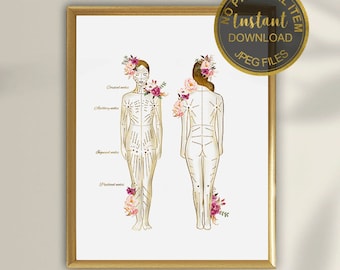 Lymphatic Drainage Art Print, Lymphatic System Poster, Massage Therapist Decor, Medical Anatomy Wall Art, Digital Download
