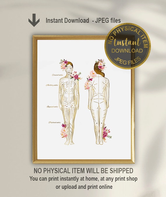 Lymphatic Drainage Art Print, Lymphatic System Poster, Massage Therapist Decor, Medical Anatomy Wall Art, Digital Download