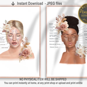 Face Anatomy Art Print, Facial Muscles and Veins, Medical Spa, Aesthetician Decor, Botox Poster, Botox Injector Art, Printable