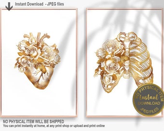 Láminas de anatomía doradas, arte médico imprimible para pared, decoración para consultorio médico, regalo de graduación de enfermera, arte floral de anatomía.