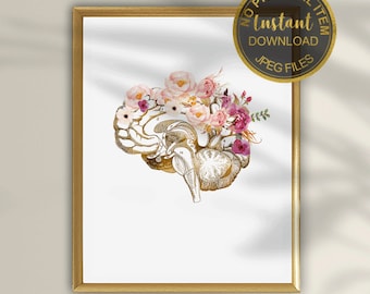 Anatomical Brain Art Print | Human Brain Anatomy Poster for Medical Office, Neurology, Psychology & Anatomy Wall Art