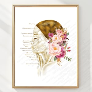 May include: A framed anatomical illustration of a human head in profile, featuring gold-toned hair and a cluster of pink and purple flowers. The drawing includes labeled facial muscles such as the temporalis and orbicularis oculi.