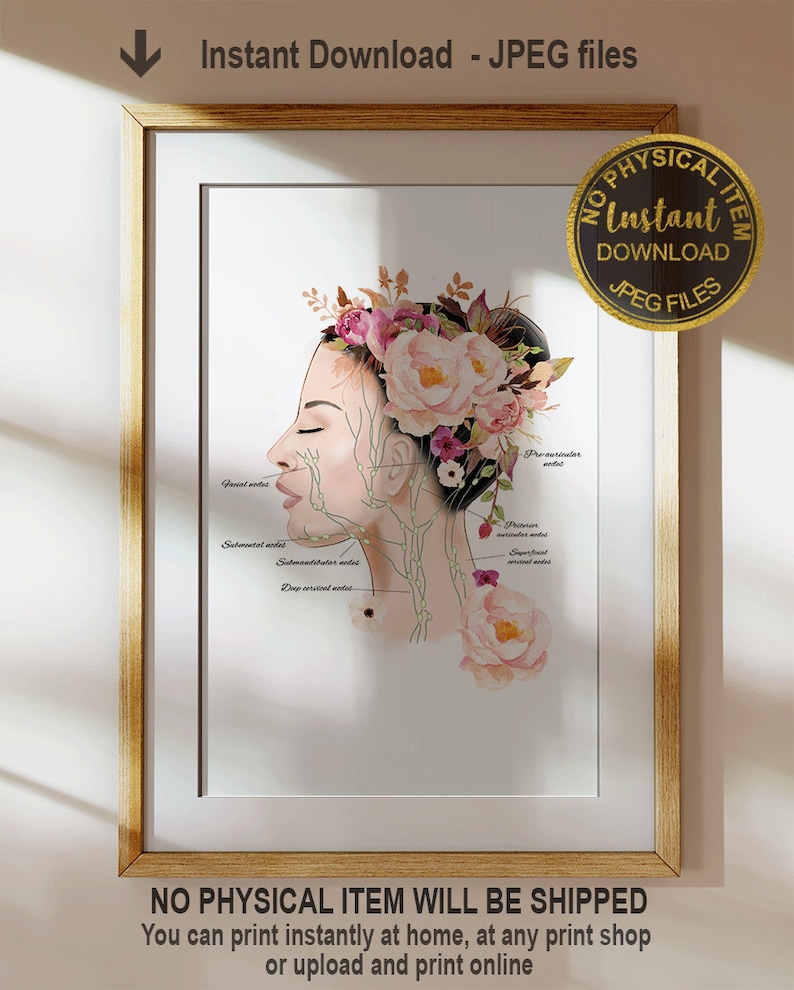 May include: A printable illustration of a woman's face with a floral crown. The illustration includes labeled anatomical details of the lymphatic system in the neck and face. The text "No Physical Item Will Be Shipped" is at the bottom of the image. You can print instantly at home, at any print shop or upload and print online.