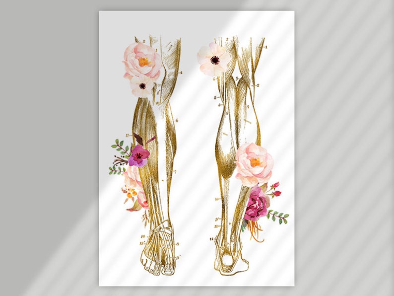 RMT Office Decor, Massage Therapist Gift, Massage Therapist Graduation Gift, Massage Room Decor, Muscular System Art, Anatomy Art Set image 3