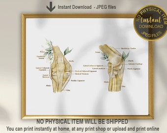 Knee Anatomy Print, Orthopedic Surgeon, Physical Therapist Gift, Orthopedic Doctor, Orthopedic Art, Chiropractor Gift, Massage Therapist Art