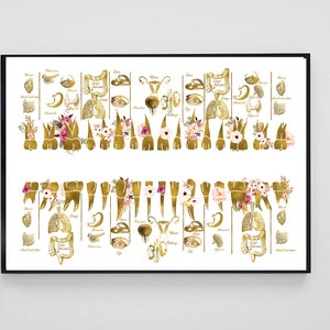 May include: A white background with gold anatomical illustrations of human organs and teeth. The organs are arranged in rows, with each row representing a different body system. The teeth are arranged in a row at the bottom of the image. The organs are labeled with their names, and the teeth are labeled with their numbers.