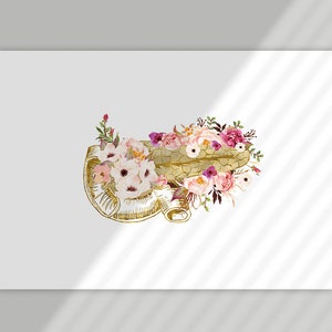 Pancreas Anatomy Art, Medical Office Decor, Hepatology ...