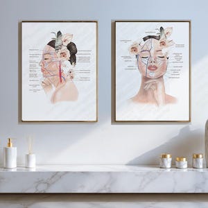 Facial Anatomy Art Set of 2, Face Muscles Arteries and Veins, Digital Download