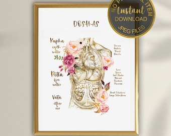 Doshas Ayurveda Poster, Ayurveda Anatomy Art Print, Vata Pitta Kapha Chart, Ayurvedic Medicine Decor, Holistic Health Wall Art