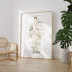 May include: A white poster with a gold outline and the title "Lymphatic System". A watercolor illustration of a female figure with lines representing the lymphatic system is shown. The poster has a white background with green watercolor leaves and flowers.