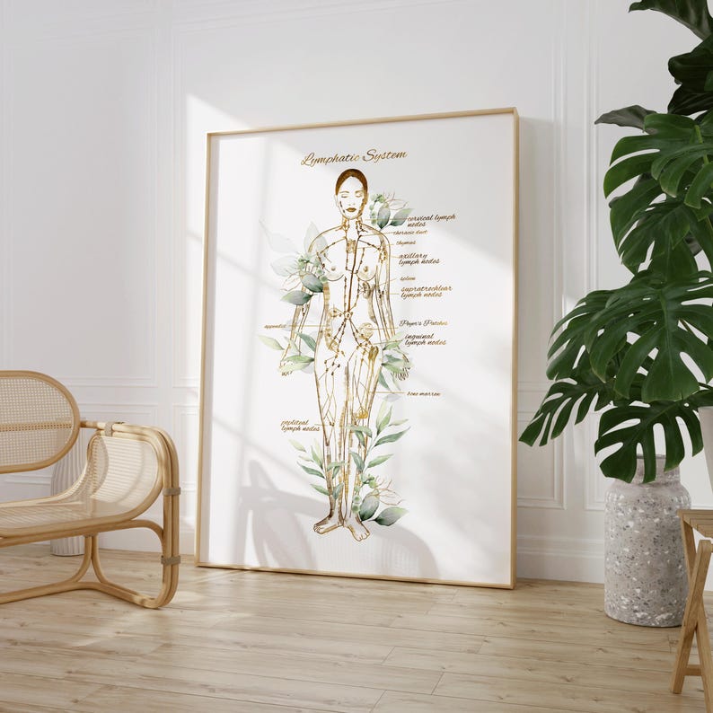 May include: A white poster with a gold outline and the title "Lymphatic System". A watercolor illustration of a female figure with lines representing the lymphatic system is shown. The poster has a white background with green watercolor leaves and flowers.