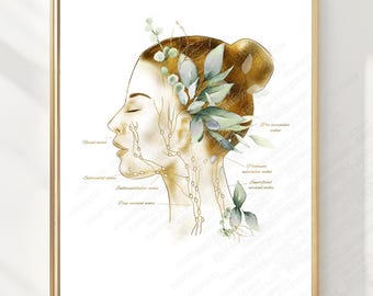 Face Lymphatic System Art Print for Estheticians, Lymphatic Drainage Chart, Facial Massage Anatomy Poster, Instant Download