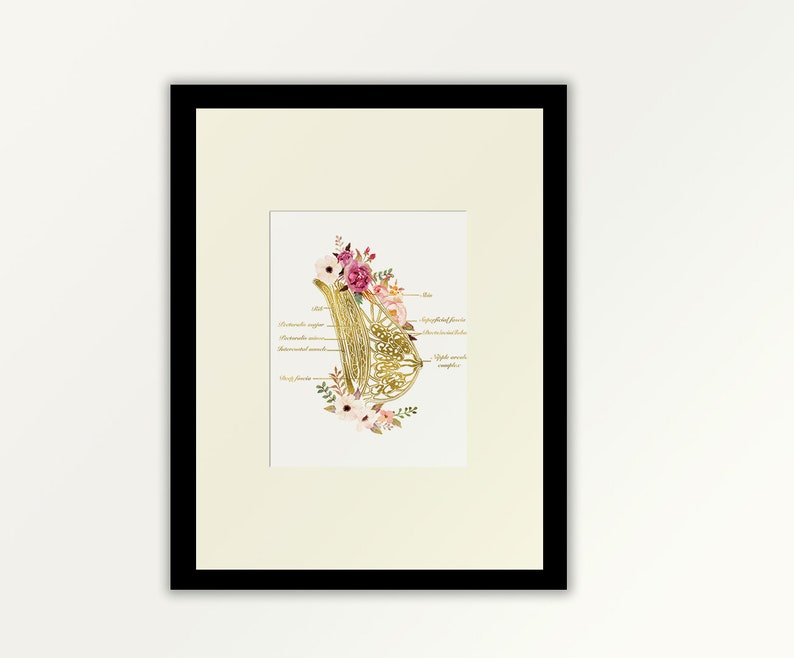 Breast Anatomy Art Breast Art Mammary Gland Print Lactasis - Etsy