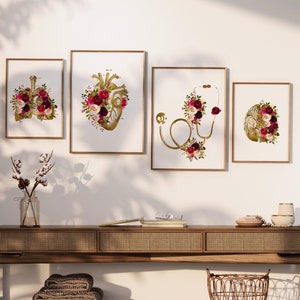 May include: Set of four framed prints featuring anatomical illustrations of the heart, lungs, brain, and stethoscope, all adorned with burgundy and white floral arrangements.
