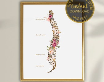 Spinal Cord Anatomy Art, Chiropractic Art, Vertebral Column Print, Chiropractic Office Decor, Physical Therapist Gift, Chiropractor Gift