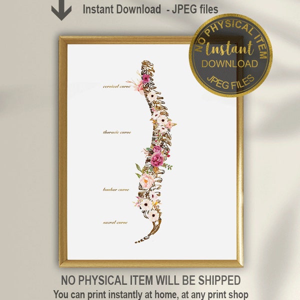 Spinal Cord Anatomy Art, Chiropractic Art, Vertebral Column Print, Chiropractic Office Decor, Physical Therapist Gift, Chiropractor Gift