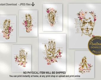 Juego de láminas de reflexología floral, impresiones de reflexología de manos, pies y orejas, decoración para consultorio de acupunturista, arte mural de masajista, descarga digital