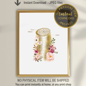 Arte de anatomía capilar, arte dermatológico, decoración de oficina dermatólogo, regalo dermatólogo, escuela de cosmetología, decoración de peluquería, regalo de cosmetología