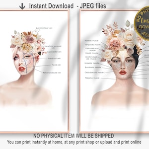 Gesicht Anatomisch Poster, Gesichtsmuskulatur, Botox Injizierer, Beauty-Salon Dekor, Gesichtsvenen, Kosmetikerin Kunst,Medical Spa Poster zum Ausdrucken