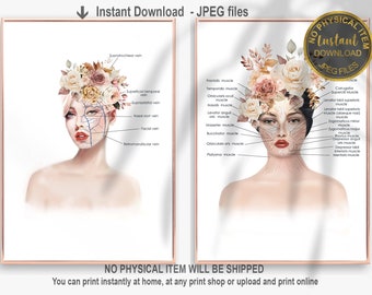 Facial Anatomy Poster: Muscles & Veins - Esthetician Art (Printable)