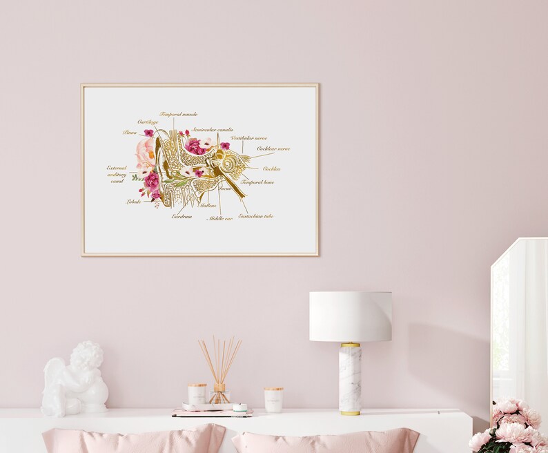 Może przedstawiać: Złota anatomiczna ilustracja ludzkiego ucha z kwiatowymi detalami. Obraz zawiera etykiety dla r&oacute;żnych części ucha, takich jak błona bębenkowa, kanały p&oacute;łkoliste, ślimak i trąbka słuchowa.