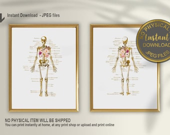 Anatomy Art Print Set, Floral Skeletal System Anatomy, Medical & Orthopedic Clinic Decor, Skeletal System Wall Art, Printable Medical Art