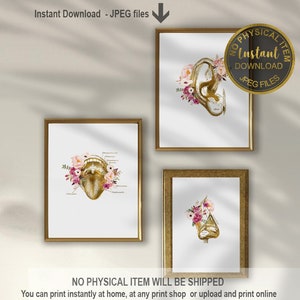 Anatomy Wall Art Set for ENT Doctors & Otolaryngologists, Throat, Ear, Nose ,Medical Office Decor, Educational Anatomy Prints