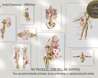 Massage Therapist Office Decor, LMT Gift, Massage Therapist Graduation Gift, Massage Studio Decor, Muscular System Artwork, Anatomy Art Set