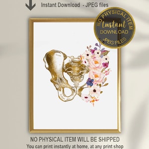 Pelvis Arte, Stampa Anatomica, Regalo Di Terapia Fisica, Macchina Chiropratico, Anatomia Medica Arte Medico Regalo Ortopedia Art Medical Office Decor