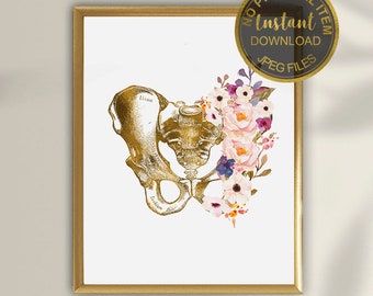 Pelvis Art, Anatomical Print, Physical Therapy Gift, Chiropractor Print, Medical Anatomy Art Doctor Gift Orthopedic Art Medical Office Decor