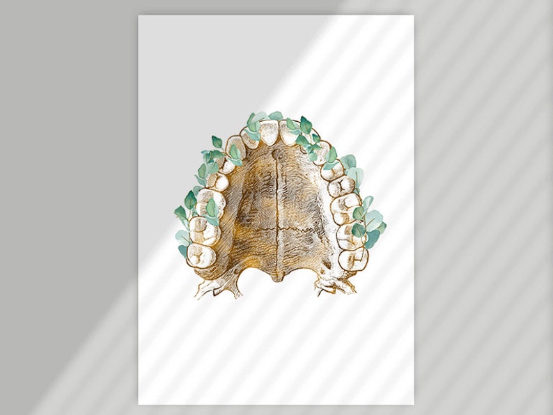 Dental Prints Set Dentist Office Decor Dental Assistant Etsy UK