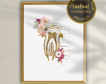 Floral Tooth Anatomy Art Print: Dentist Office Decor (Digital Download)