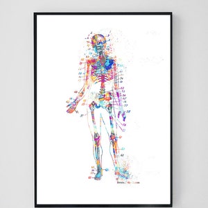 Anatomy Print Set, Medical Art Print, Anatomy Art Print, Printable Art, Doctor Gift, Art Print Set, Doctor Office Wall Decor Printable image 2