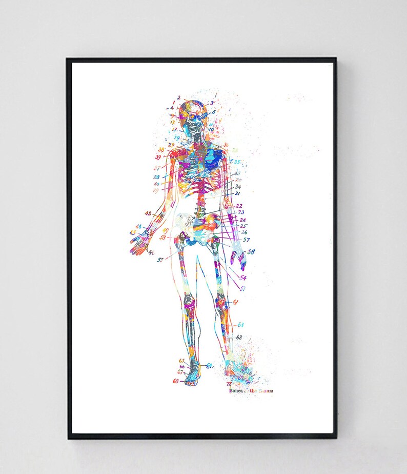 Anatomy Print Set, Medical Art Print, Anatomy Art Print, Printable Art, Doctor Gift, Art Print Set, Doctor Office Wall Decor Printable image 2