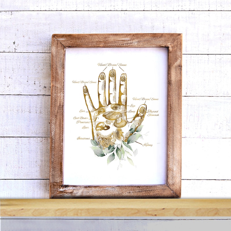 May include: A framed print featuring a detailed illustration of a hand with anatomical markings and labels in gold. The artwork includes text such as "Head/Brain Sinus", "Ear", and "Intestines". The print is set against a white background with a wooden frame.