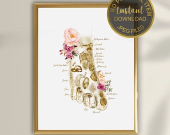 Foot Reflexology Art Print, Reflexology Foot Chart for Podiatrist Office, Foot Anatomy Wall Art, Massage Therapy Decor