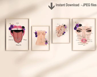 Piercing Anatomie Poster Set für Piercing Studios, professionelle Piercing Charts für Kundenberatung & Studio Wandkunst (digitaler Download)