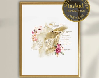 Breast Anatomy Printable Art, Breast Surgery Poster, Plastic Surgeon Office Decor, Medical Anatomy Print, Digital Download