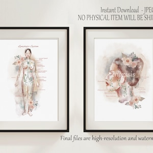Lymphatic System Anatomy Print Set of 2, Lymph Nodes Chart, Massage Therapist, Lymph Drainage Chart, Printable Decor, Watercolor Wall Art