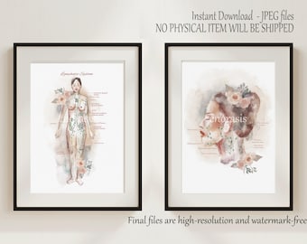 Lymphatic System Anatomy Prints, Watercolor Lymph Nodes Chart, Lymphatic Drainage Poster, Wall Art for Doctors & Therapists, Printable Art