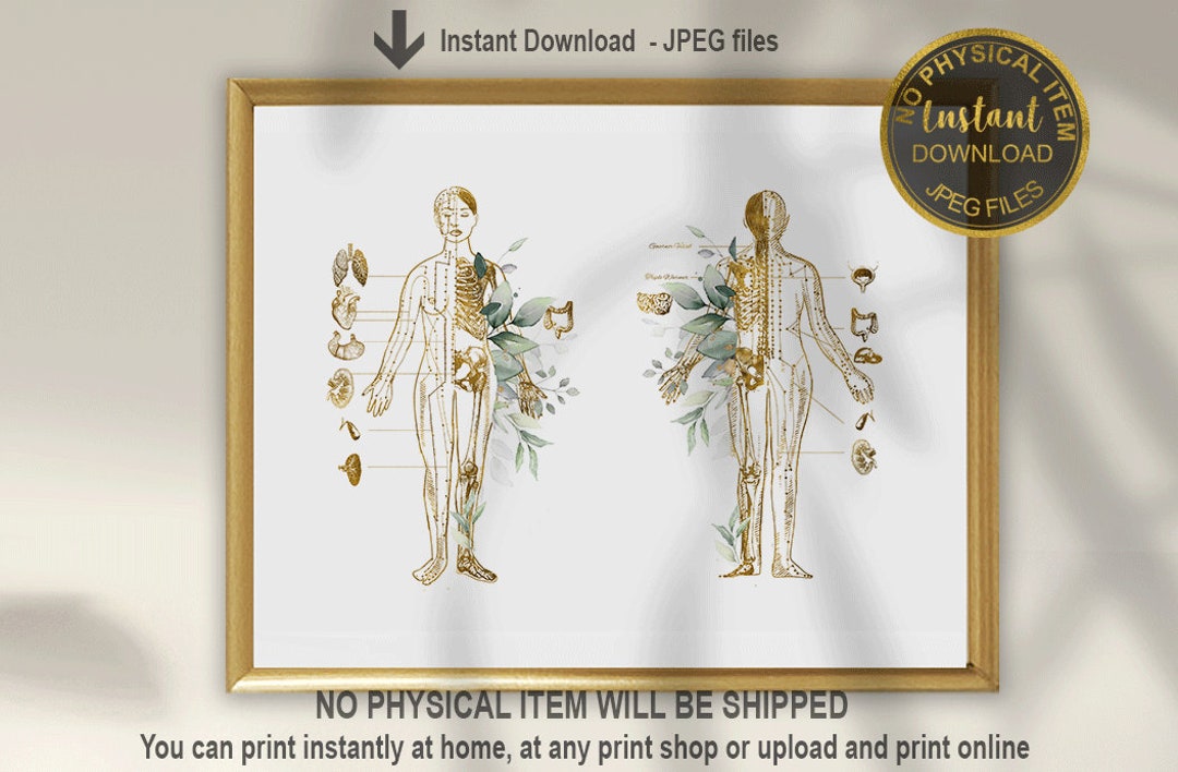 Acupuncture Meridians Print, Acupuncturist Gift, Acupuncture Points Art ...