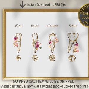 Dental Anatomy Art Print: Floral Teeth Chart (Digital Download)