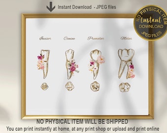 May include: Printable chart showing the different types of teeth with floral illustrations. The chart includes the names of each tooth type: incisor, canine, premolar, and molar.