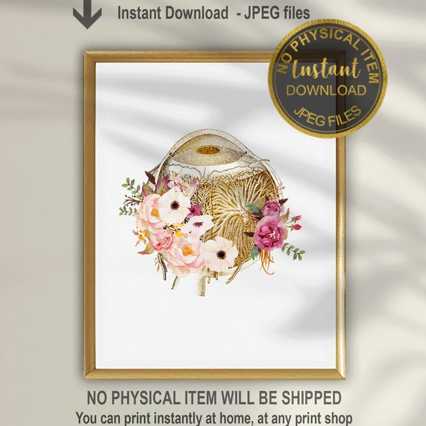 Oog anatomie Wall Art Print voor oogheelkundige klinieken, medisch kantoor decor, oogarts en optometrist cadeau (digitale download)