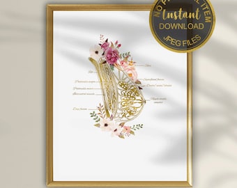 Impresión artística de anatomía mamaria, póster de glándula mamaria para lactancia, decoración de consultorios de doula y ginecología, arte mural médico.