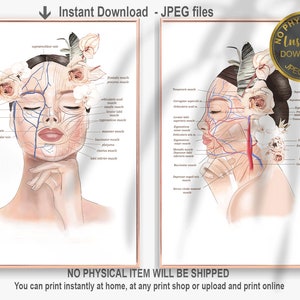 Conjunto de arte de anatomía facial, anatomía de los músculos faciales, arterias y venas faciales, decoración de esteticista, decoración de spa médico, inyector cosmético imprimible