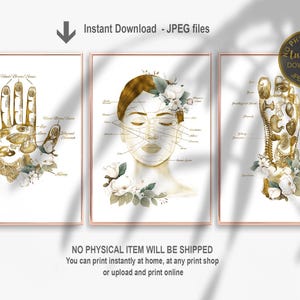 Conjunto de gráficos de reflexología imprimibles: mapa de acupresión de manos, rostro y pies: descarga digital de curación holística: decoración de medicina alternativa
