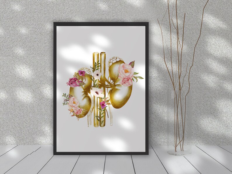 Kidneys Anatomy Art Dialysis Nurse Gift Dialysis Technician | Etsy