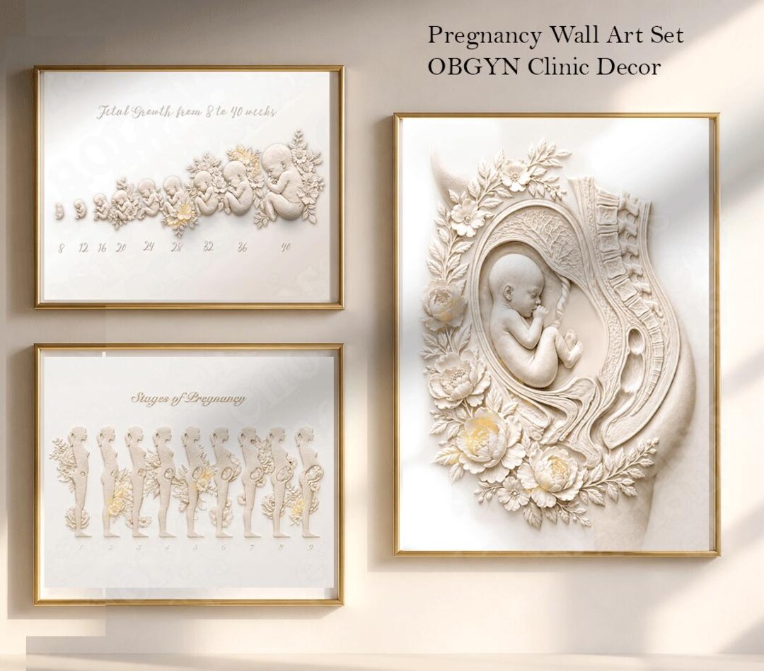 Pregnancy Wall Art Set of 3, OBGYN Clinic Decor, Midwife Office Wall ...